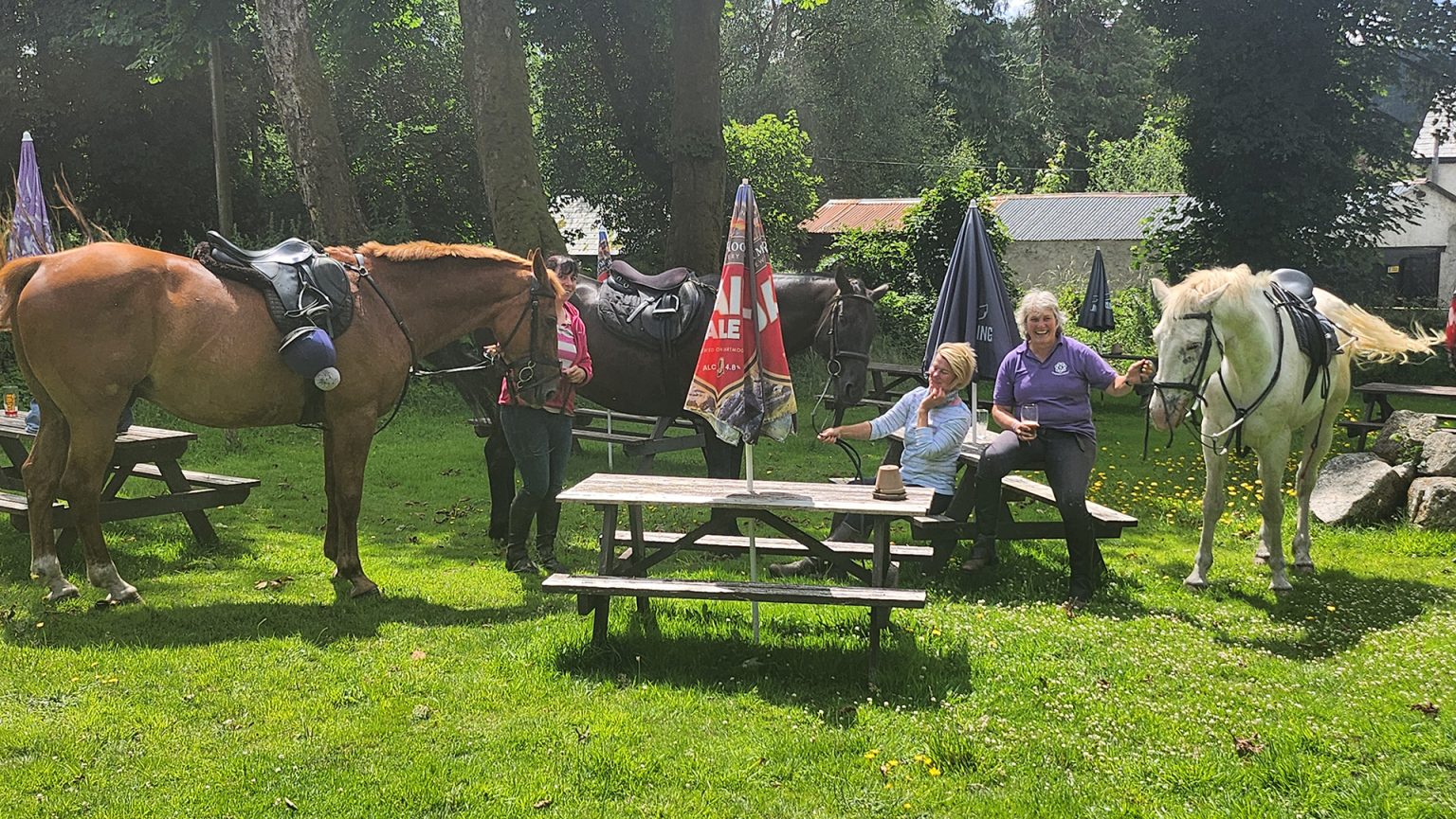 Discover Our Facilities at East Dart Inn DogFriendly & More